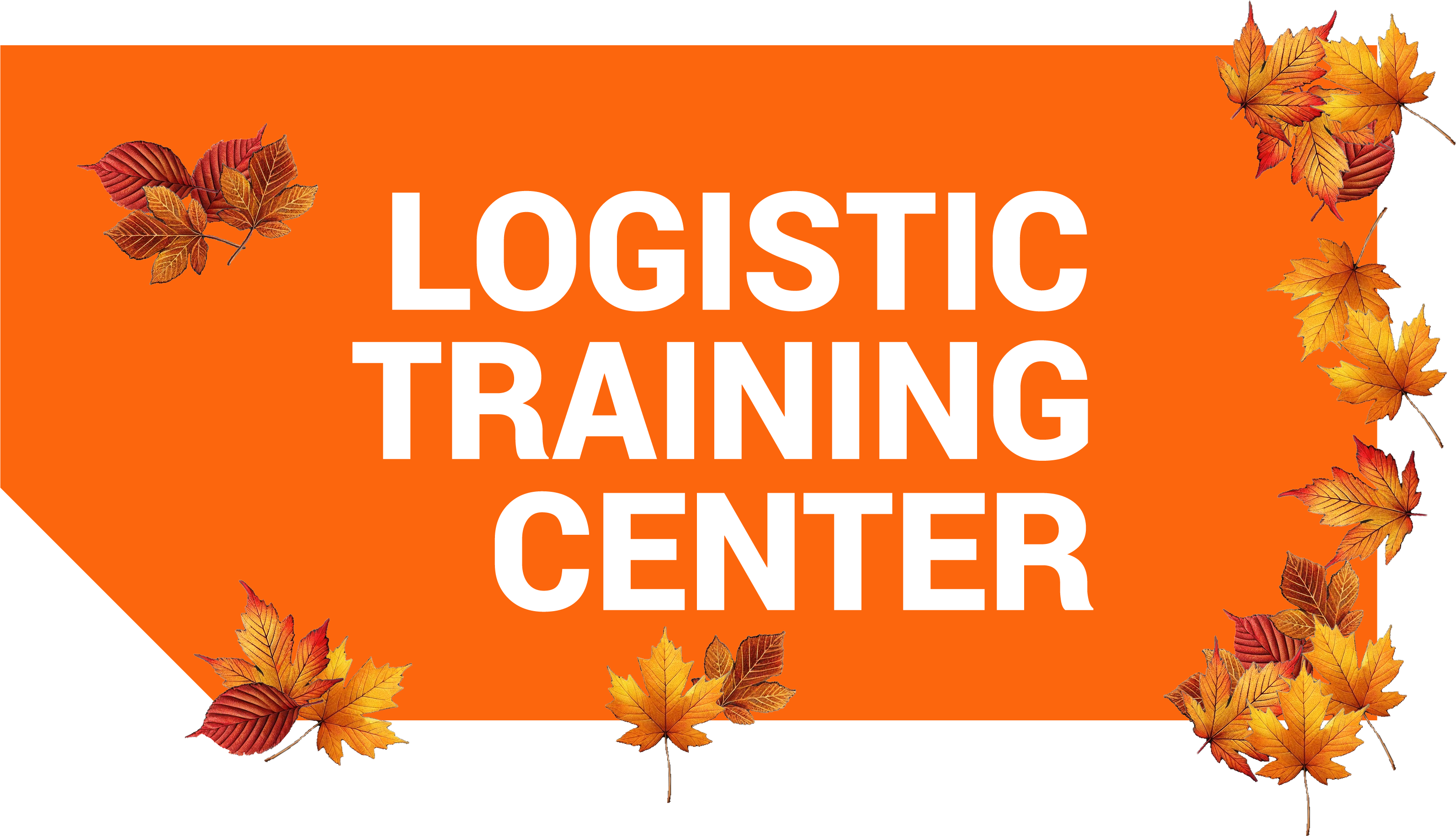 Logistic Training Center GmbH